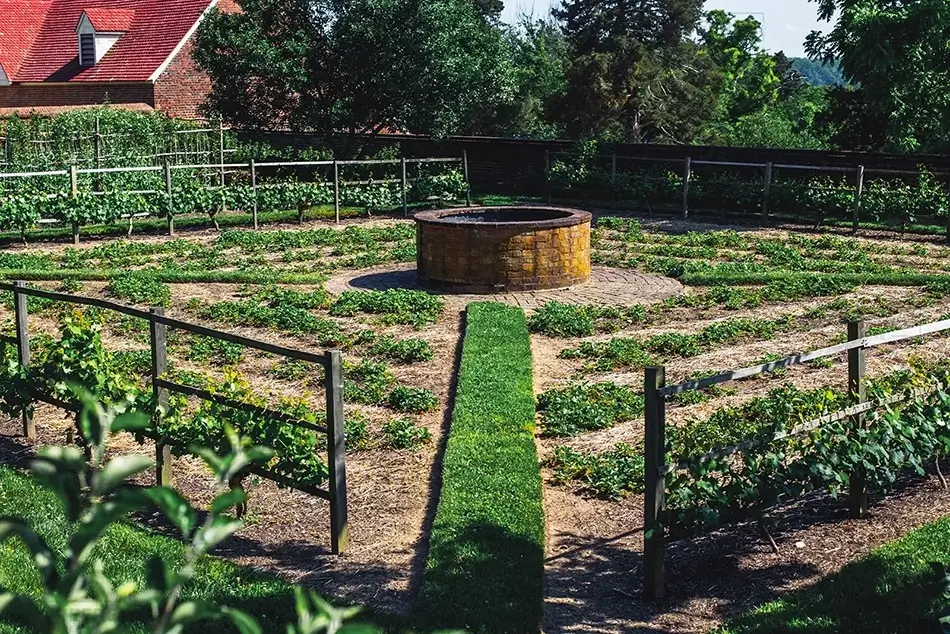 Mount Vernon Heirloom Vegetable Garden