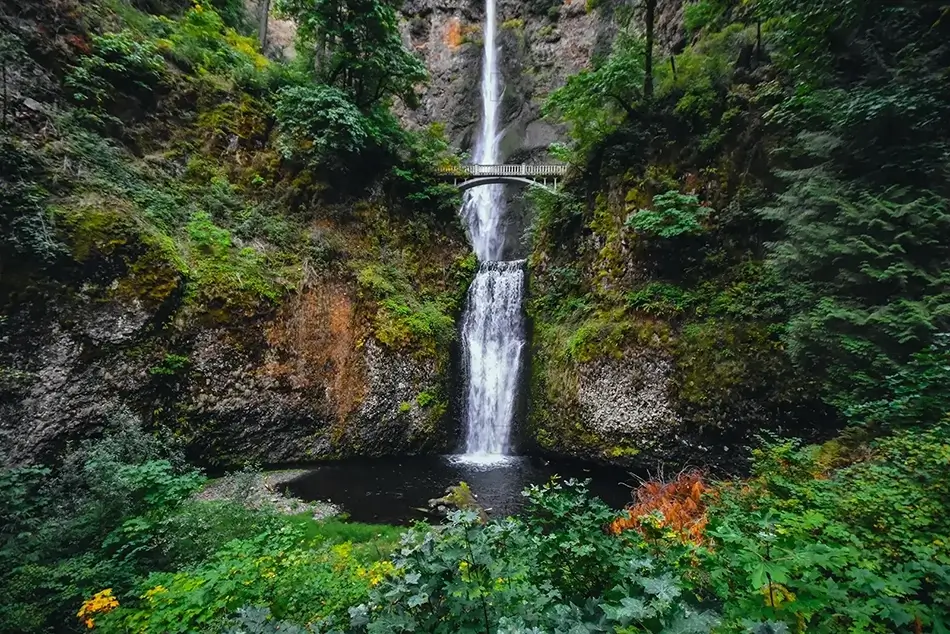 Multnomah Falls Iconic View