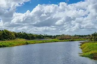 Myakka River State Park Peaceful Water, Sarasota, Florida