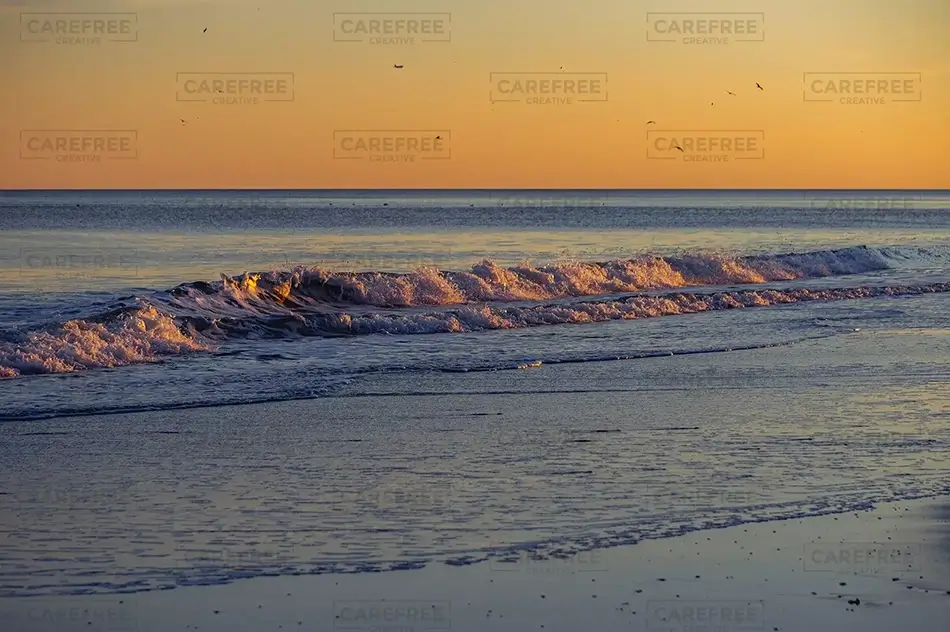 Myrtle Beach Waves, Myrtle Beach, South Carolina · United States