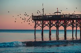 Myrtle Beach Seagulls Flying By Pier At Sunset, Myrtle Beach, South Carolina