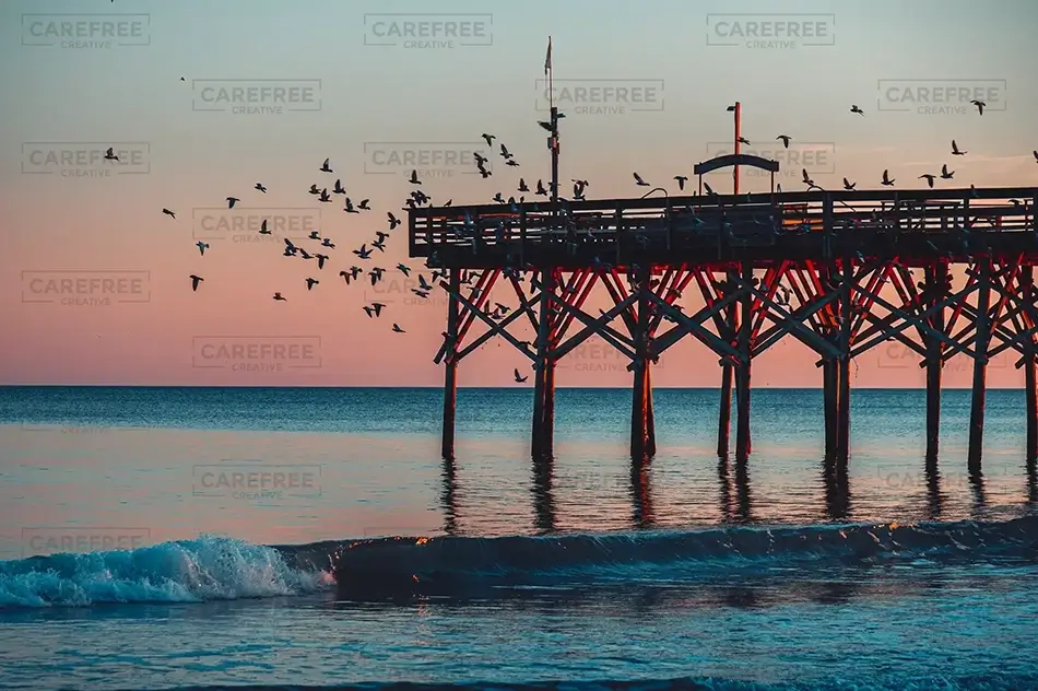 Myrtle Beach Seagulls Flying By Pier At Sunset, Myrtle Beach, South Carolina · United States