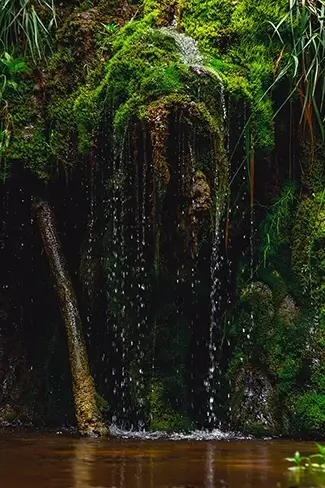 Natural Bridge State Park Lush Mossy Waterfall, Natural Bridge, Virginia