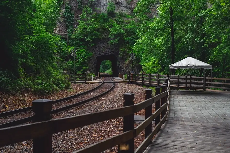 Natural Bridge State Park Boardwalk in the Woods, Duffield, Virginia · United States