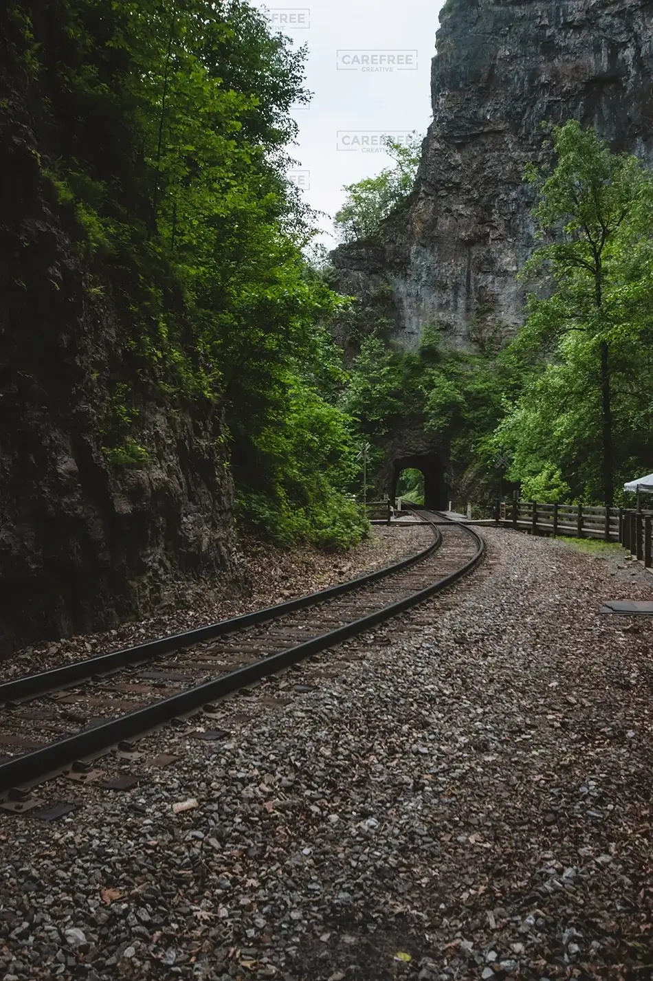Natural Bridge State Park Railroad Through the Gorge, Duffield, Virginia · United States