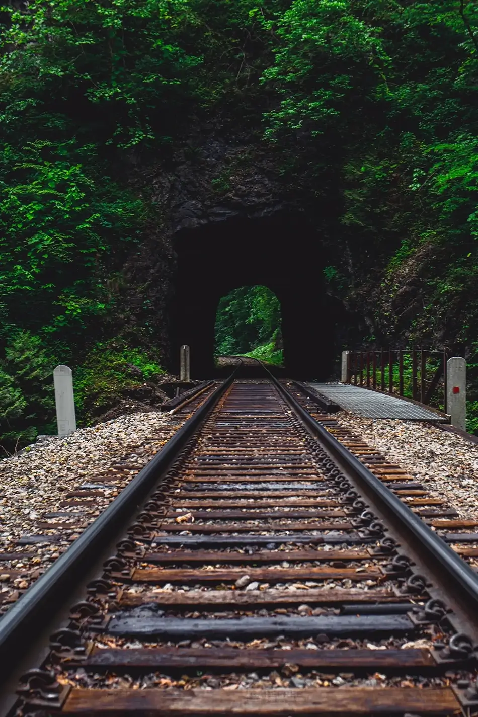 Natural Tunnel State Park Railroad into the Foliage, Duffield, Virginia · United States