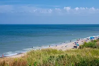 Nauset Beach Summer Day Swimmers, Eastham, Massachusetts
