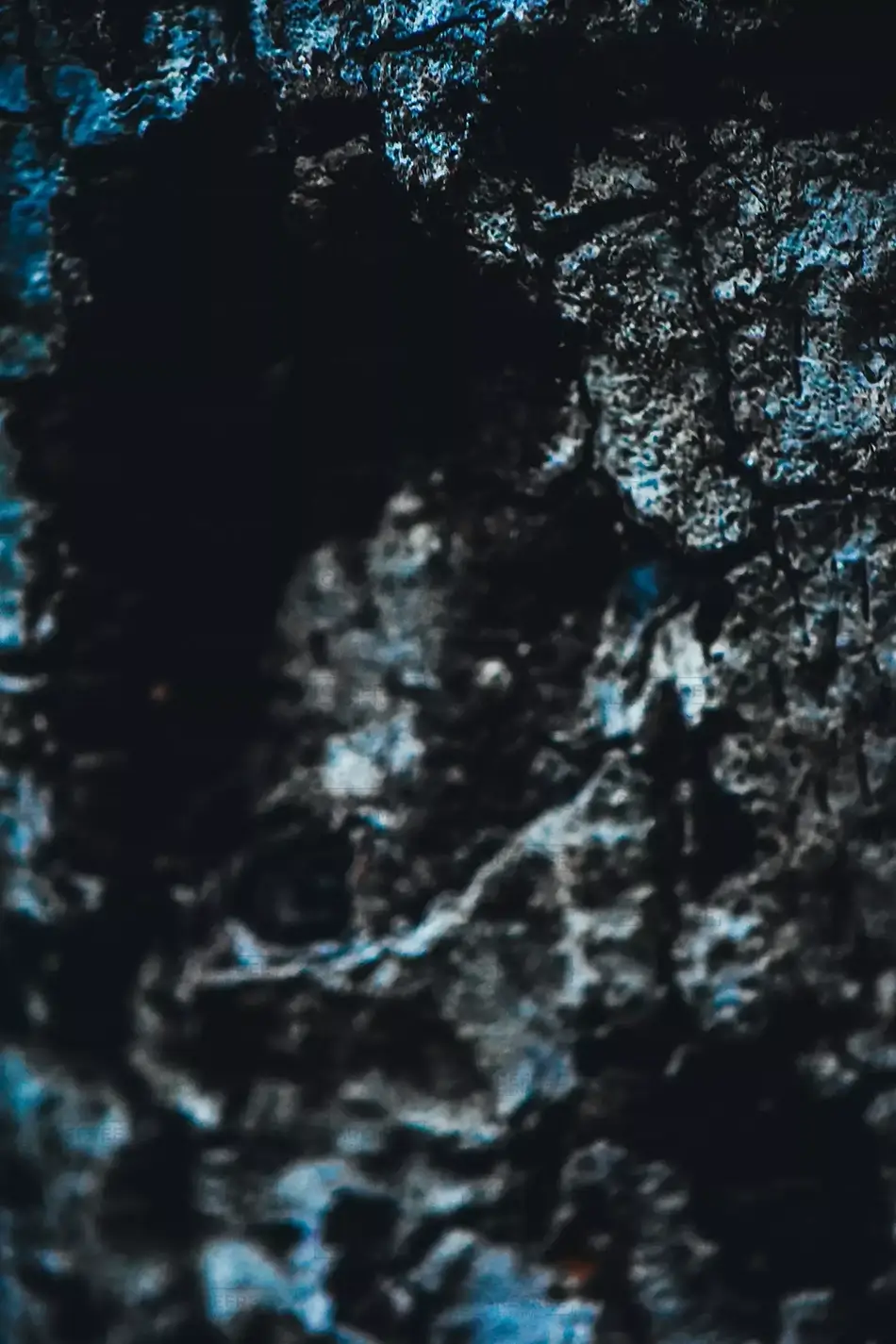 Nojoqui Falls Macro Rock Blue Bark Texture, California · United States