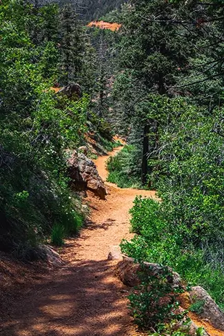 North Cheyenne Canon Park Scenic Hiking Trail Serene Winding Path Through Lush Forest, Colorado Springs, Colorado