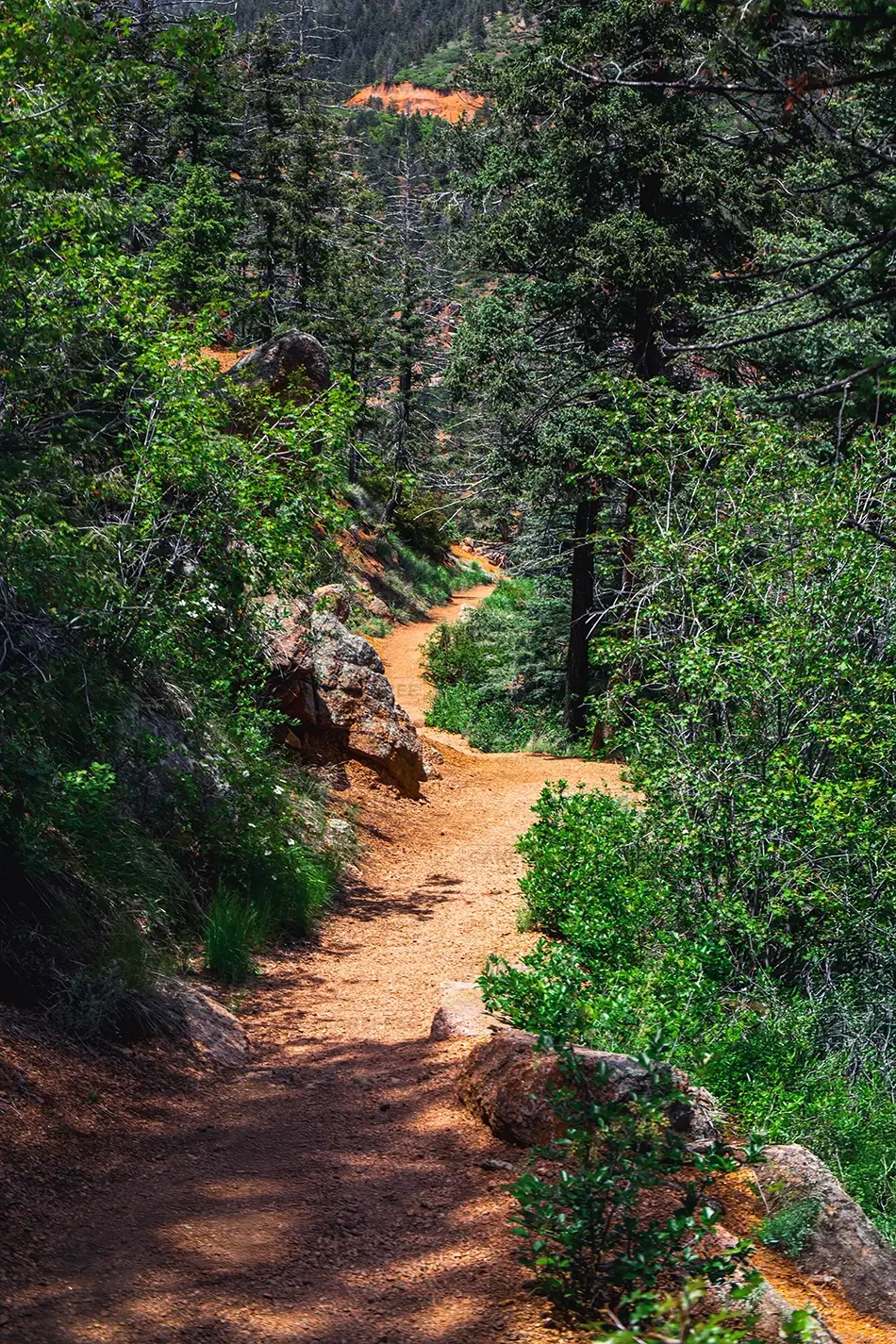 North Cheyenne Canon Park Scenic Hiking Trail Serene Winding Path Through Lush Forest
