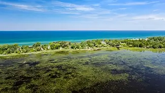 North Point County Park Aerial Coastal Wetland View, South Haven Township, Michigan
