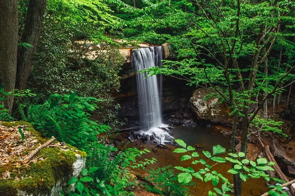 Ohiopyle State Park Cascading Waterfall in Lush Forest, Ohiopyle, Pennsylvania · United States