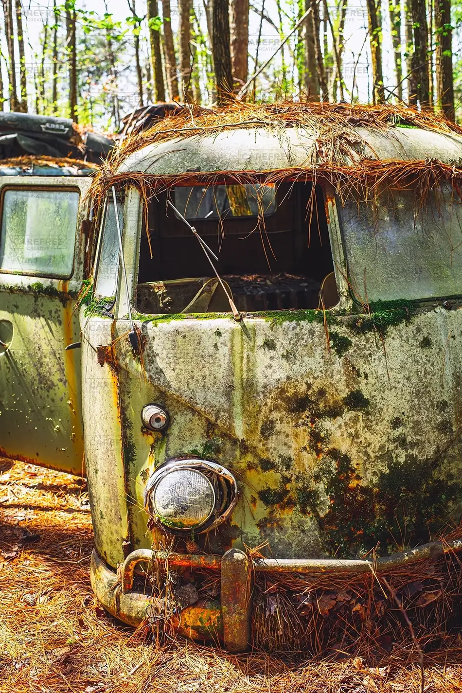 Old Car City USA Forest Reclaimed VW Bus, White, Georgia · United States