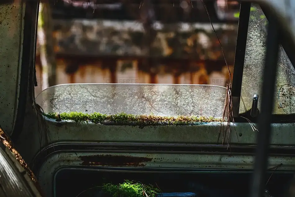 Old Car City USA Nature’s Dashboard, White, Georgia · United States