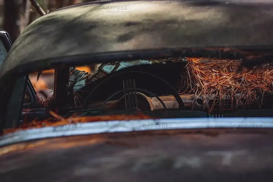 Old Car City USA Pine Needle Dashboard, White, Georgia · United States