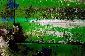 Old Car City USA Nature’s Green Paint Job, White, Georgia
