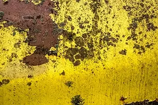 Old Car City USA Yellow Paint Rust Patterns, White, Georgia