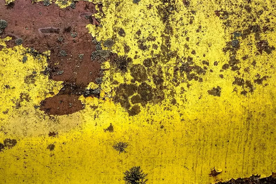 Old Car City USA Yellow Paint Rust Patterns, White, Georgia · United States
