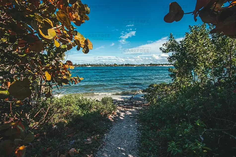 Oleta River State Park Shaded Pathway