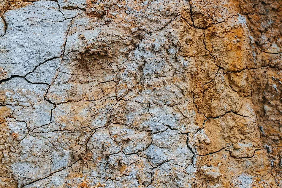 Paint Mines Interpretive Park Cracked Earth Texture, Calhan, Colorado · United States