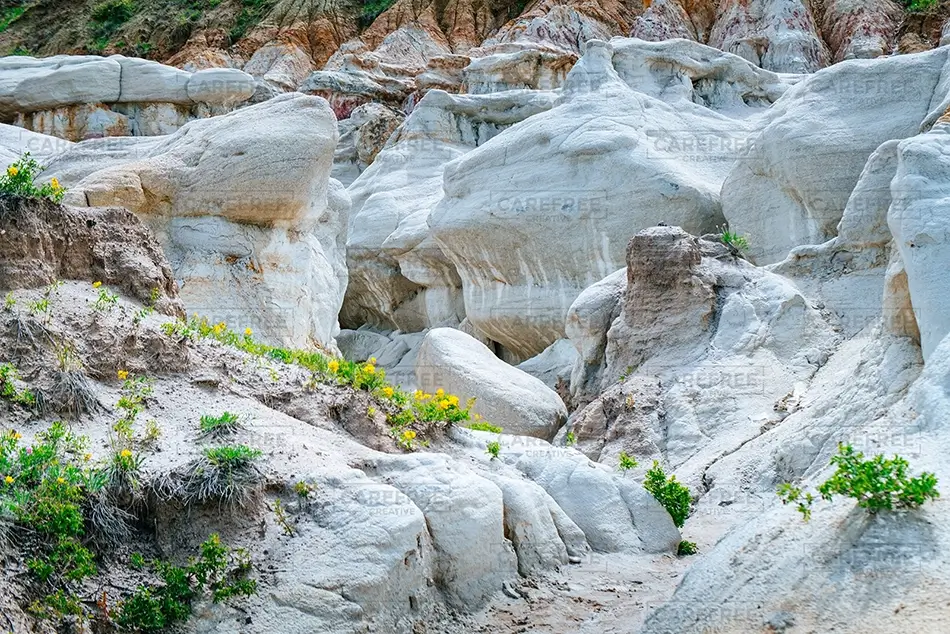 Paint Mines Interpretive Park Unique Rock Formations and Wildflowers, Calhan, Colorado · United States