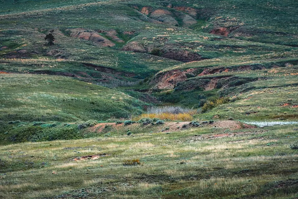 Paint Mines Interpretive Park Rolling Green Hills and Valleys, Calhan, Colorado · United States