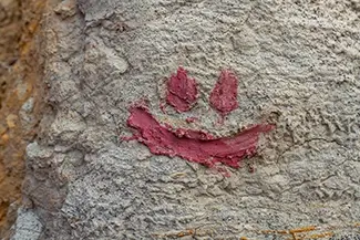 Paint Mines Interpretive Park Rock Art Smiley Face, Calhan, Colorado