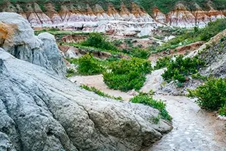 Paint Mines Interpretive Park Diverse Formations and Foliage, Calhan, Colorado