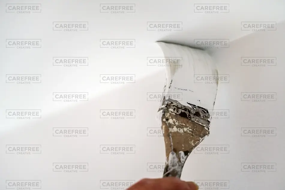 Painting Paintbrush Applying White Paint