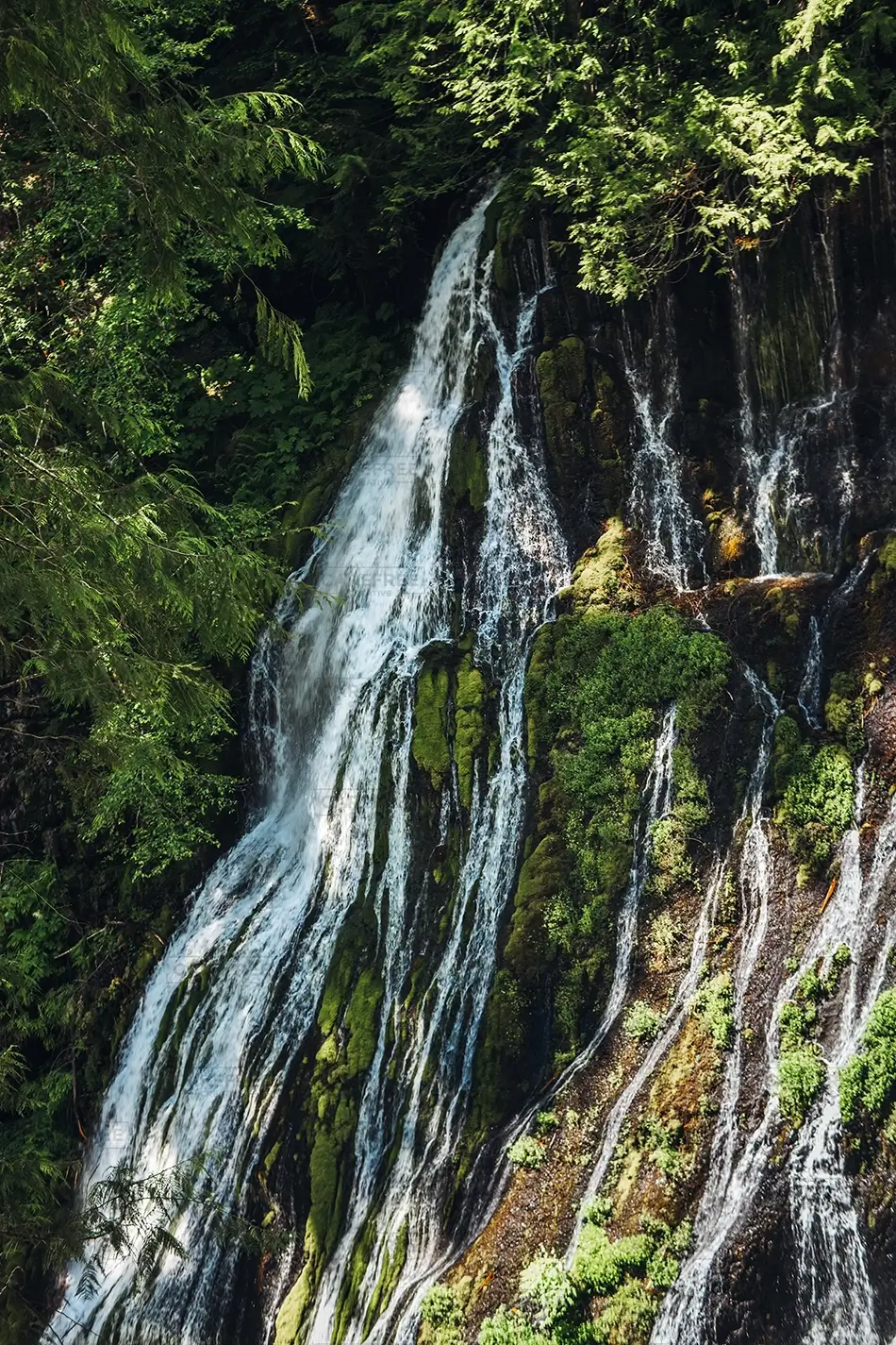 Panther Creek Falls Cascading Waterfall Over Moss, Carson, Washington · United States