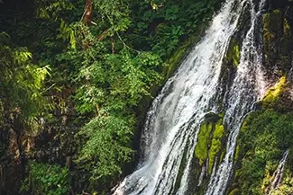 Panther Creek Falls Cascading Waterfall Through Forest, Carson, Washington