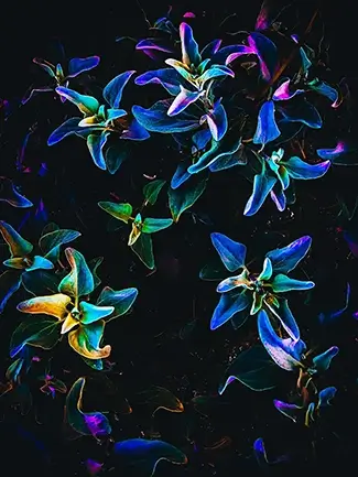 Papago Park Vibrant Botanical Dance, Phoenix, Arizona