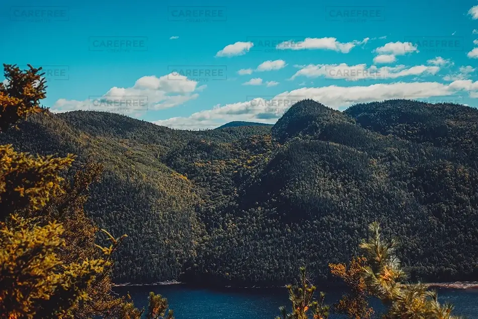 Saguenay Fjord National Park Autumn Canopy, Rivière-Éternité, Quebec · Canada