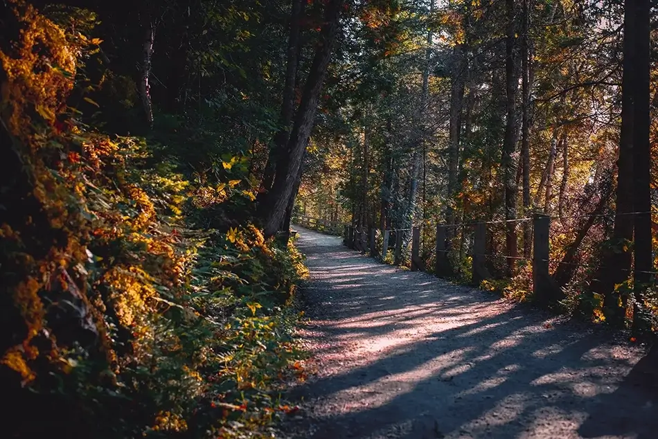 Saguenay Fjord National Park Sunlit Autumn Path, Rivière-Éternité, Quebec · Canada