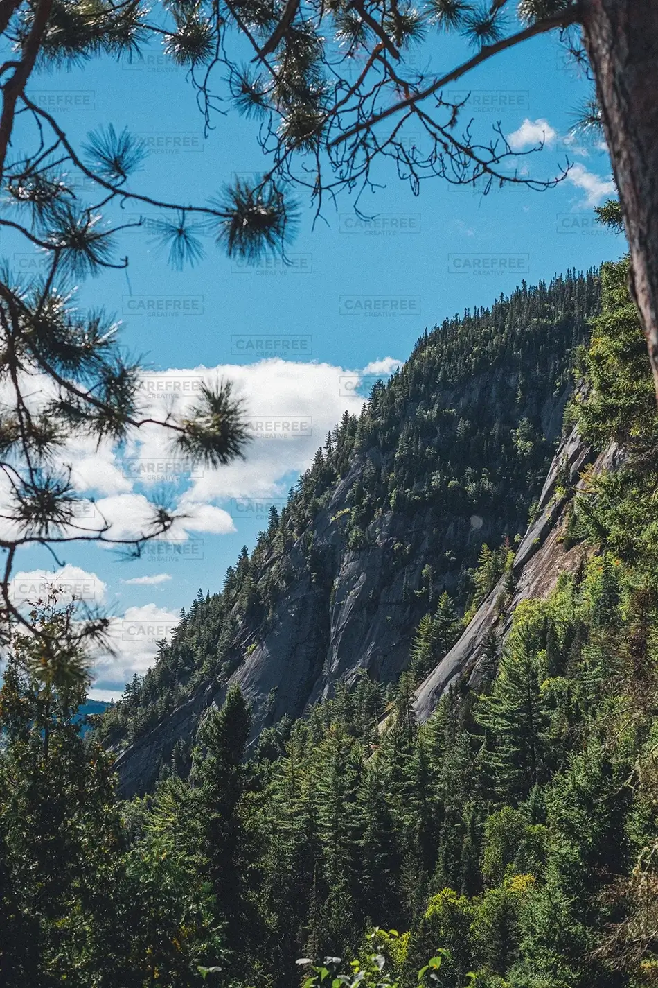 Saguenay Fjord National Park Mountain Trees, Rivière-Éternité, Quebec · Canada