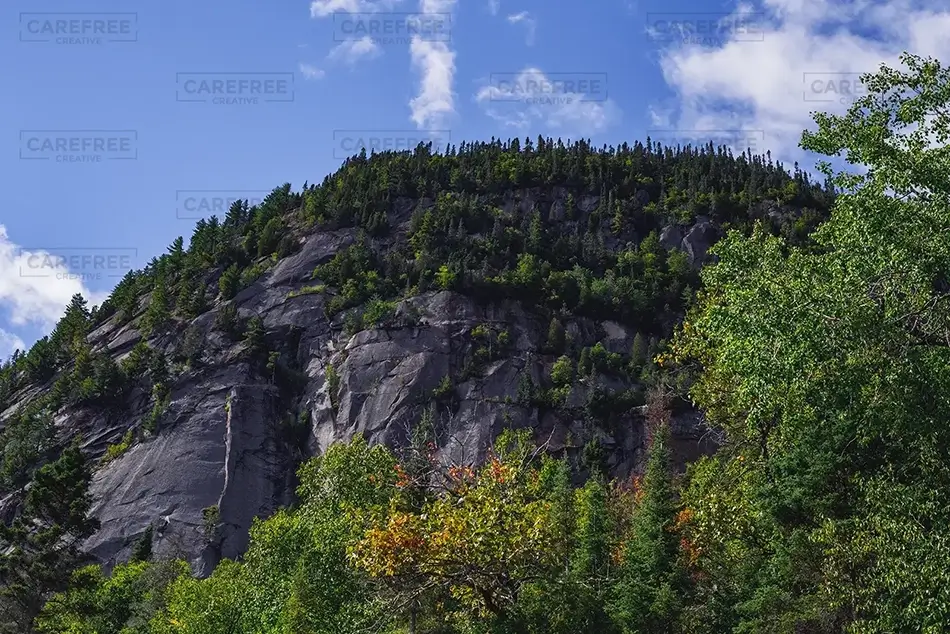 Saguenay Fjord National Park Mountainous Forest, Rivière-Éternité, Quebec · Canada