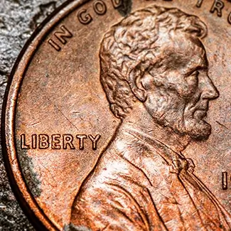 Liberty Penny Macro Coin Detail, Saco, Maine