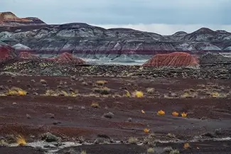 Petrified Forest National Park Multicolored Badland, Arizona