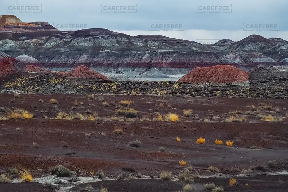 Petrified Forest National Park Multicolored Badland, Arizona · United States