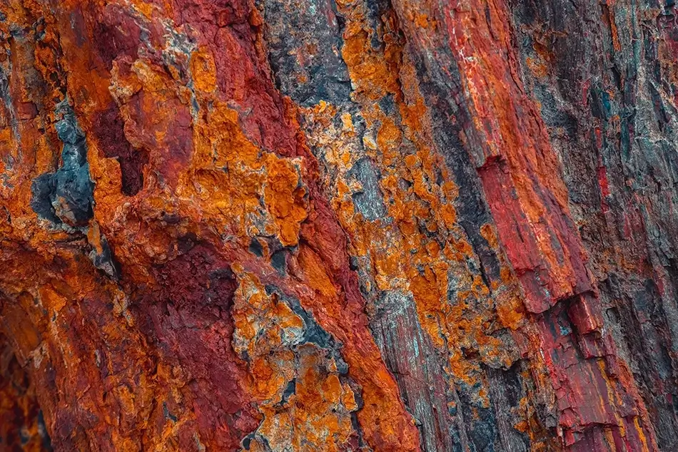 Petrified Forest National Park Close-Up of Colorful Petrified Wood, Arizona · United States