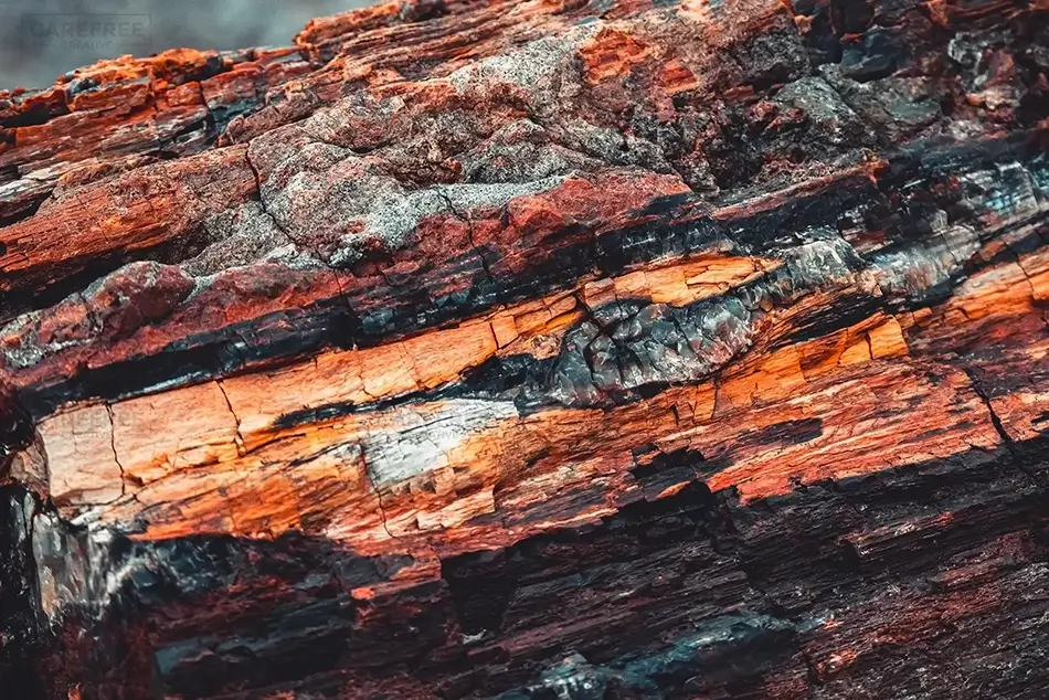Petrified Forest National Park Twilight Bark Palette, Arizona · United States
