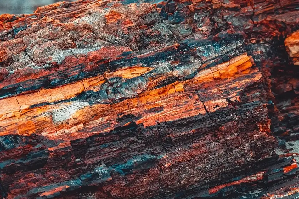 Petrified Forest National Park Burnished Wood Tapestry, Arizona · United States