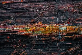 Petrified Forest National Park Petrified Wood Details in Vivid Color, Arizona