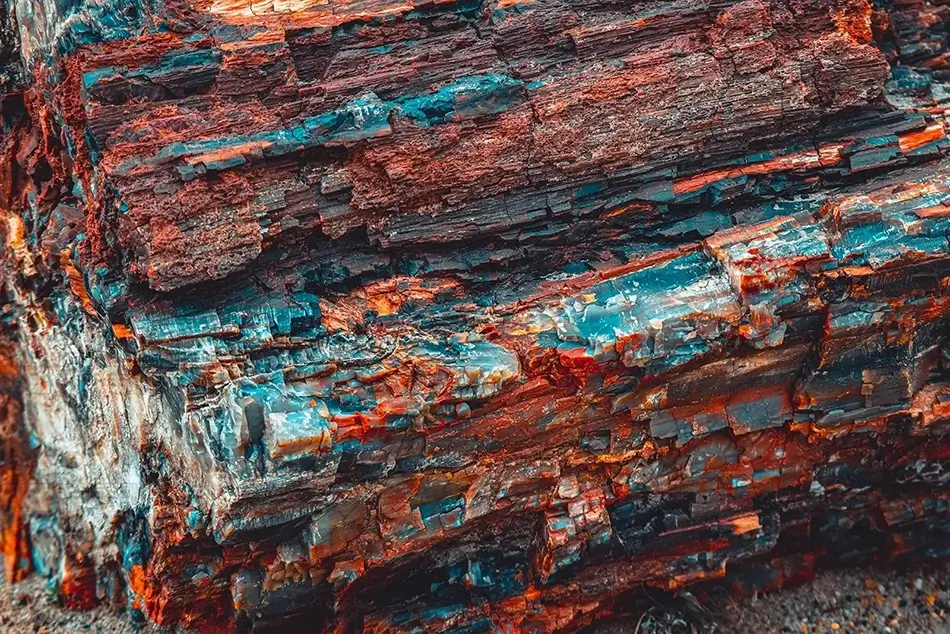 Petrified Forest National Park Ancient Timber Texture, Arizona · United States