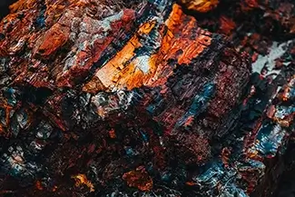 Petrified Forest National Park Rainbow Wood Close-Up, Arizona