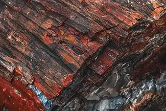 Petrified Forest National Park Saturated Wood Spectrum, Arizona
