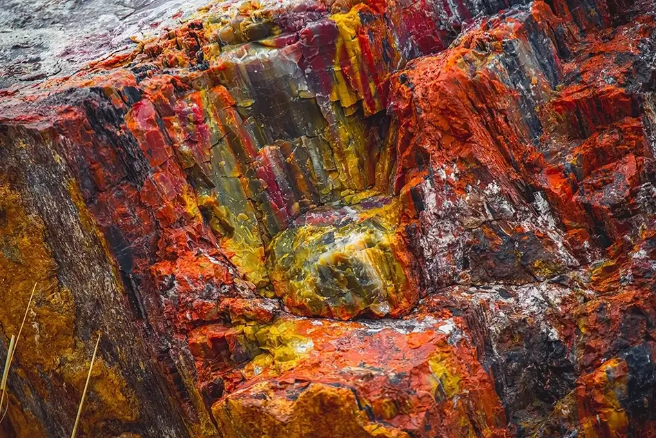 Petrified Forest National Park Textured Amber Wood, Arizona · United States