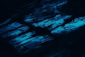 Petrified Forest National Park Azure Glow Bark, Arizona