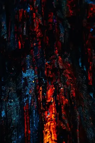 Petrified Forest National Park Crimson Midnight Bark, Arizona