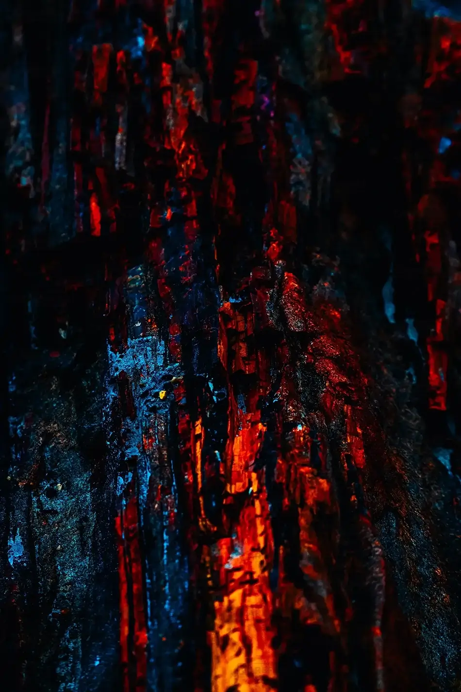 Petrified Forest National Park Crimson Midnight Bark, Arizona · United States